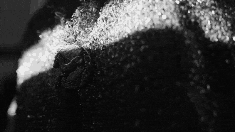 where fashion lives gif