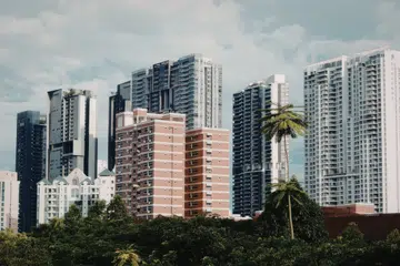A cityscape featuring a collection of high-rise buildings with a tropical tree in the foreground.