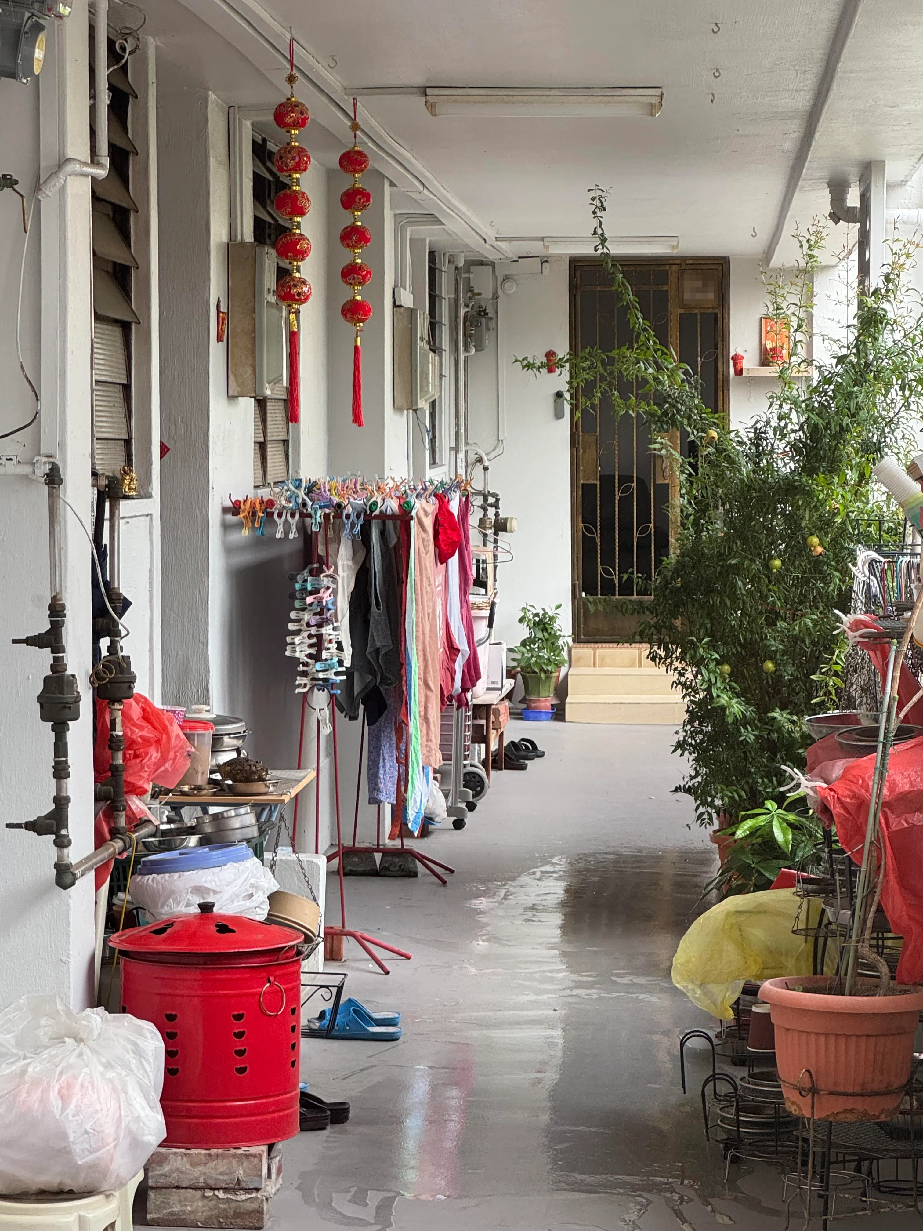 妇女被指怪行径扰人，不仅在走廊摆盆栽、杂物挡道，还洒水、喊骂。（郑莉萱摄）