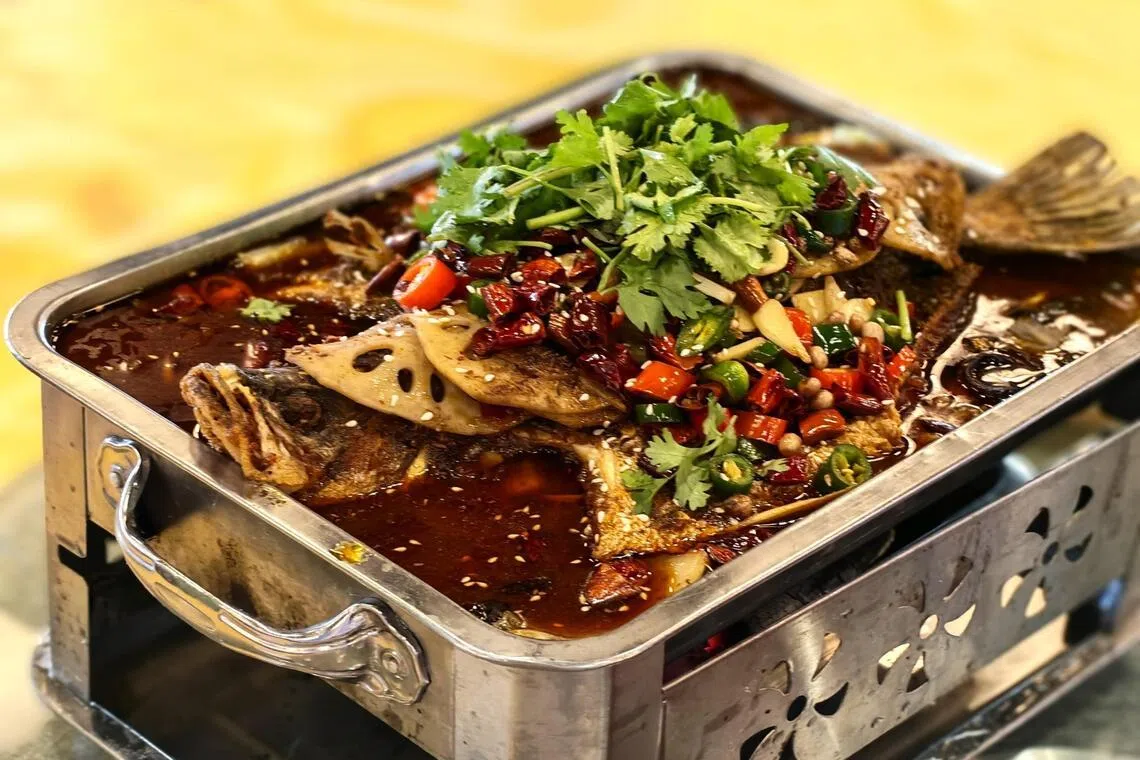 重庆烤鱼遵循传统川式做法，金目鲈外脆内嫩，还有麻辣底料增香。（陈爱薇摄）