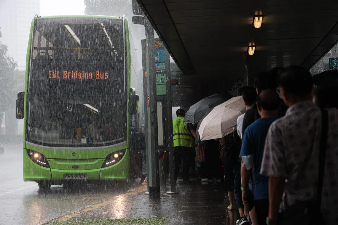 四家巴士业者合力派出接驳巴士：新捷运派了44辆、易塔通23辆、SMRT13辆、Go Ahead新加坡则是四辆；每一趟的最高载客量为120人。（李冠卫摄）