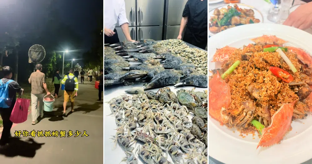 这些参与赶海的成员将海产捕获后，通常会带去餐馆或家中烹饪。（取自抖音视频截图）