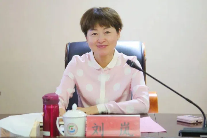 贵阳市政府中排名第四、负责大数据工作的副市长刘岚，今年2月在任上落马。（互联网）