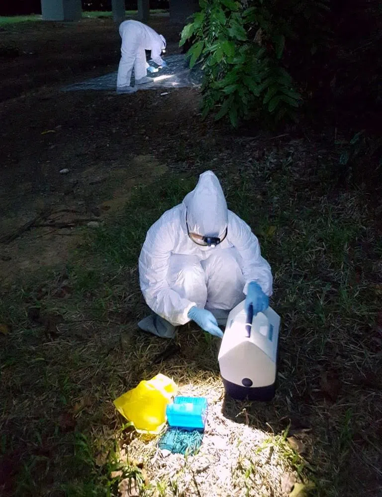 为降低接触病原体的风险，研究人员到蝙蝠的栖息地采样时，必须佩戴N95口罩等个人防护设备。（受访者提供）