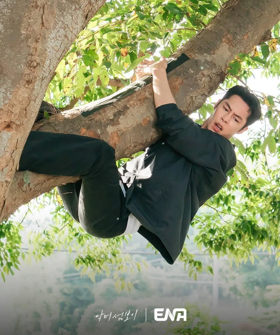 李宰煜饰演的都志义为了躲避小狗，直接爬上树，场面搞笑。（取自ENA Drama IG）
