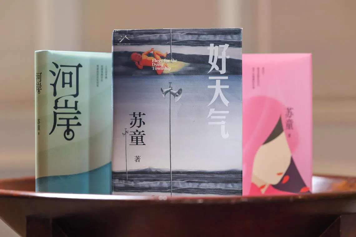 苏童的代表作。其中新作长篇小说《好天气》历经11年写作，于2025年出版。（张俊杰 摄）