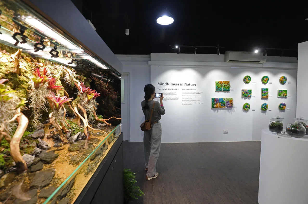 展览地点位于亚历山大医院的思维艺术体验馆（MAELab），展出六个月，公众可免费入场。（何炳耀摄）