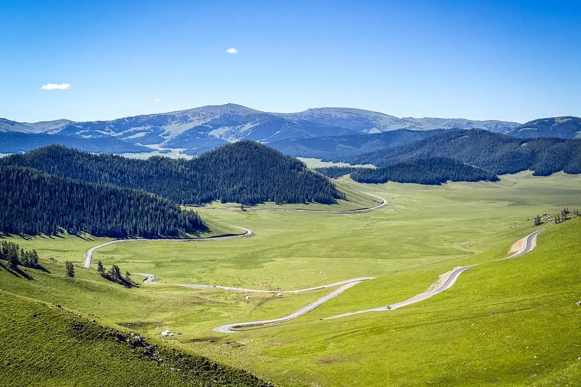 白色的阿禾公路穿梭在山坡的绿装之上。（毕强摄）