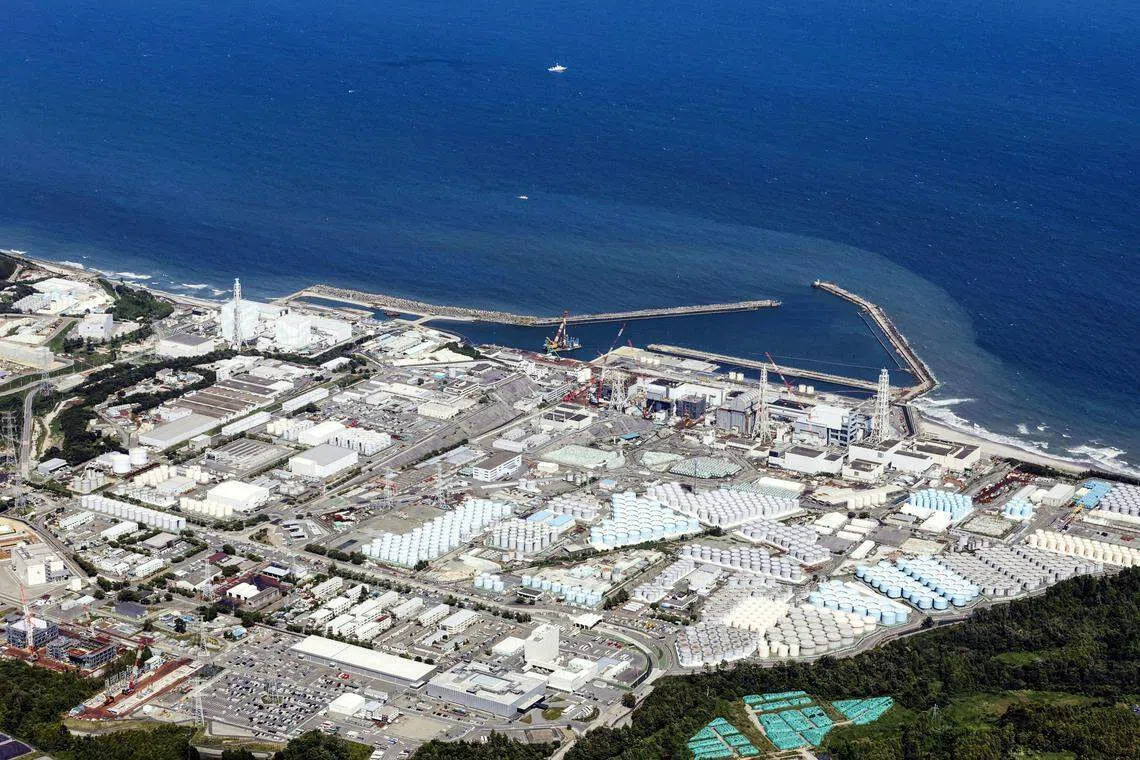 中国自核处理水排海后，全面暂停了日本水产品进口，导致不安情绪在日本各地水产业界扩散。日本当局则表明，将力求开拓水产品出口目的地，摆脱对中国市场的依赖。（路透社）