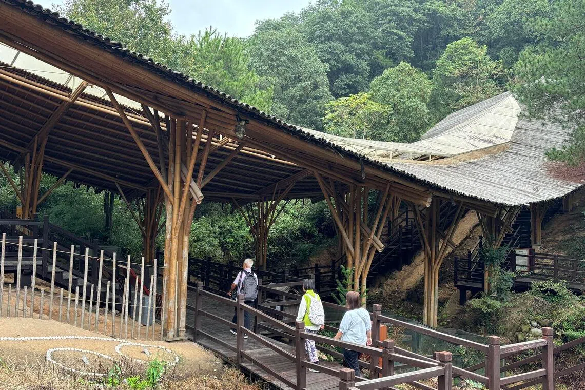 中国绍兴凤凰山古窑址上，东汉、三国、晋代的三条龙窑静静伏卧于山间。（林高提供）
