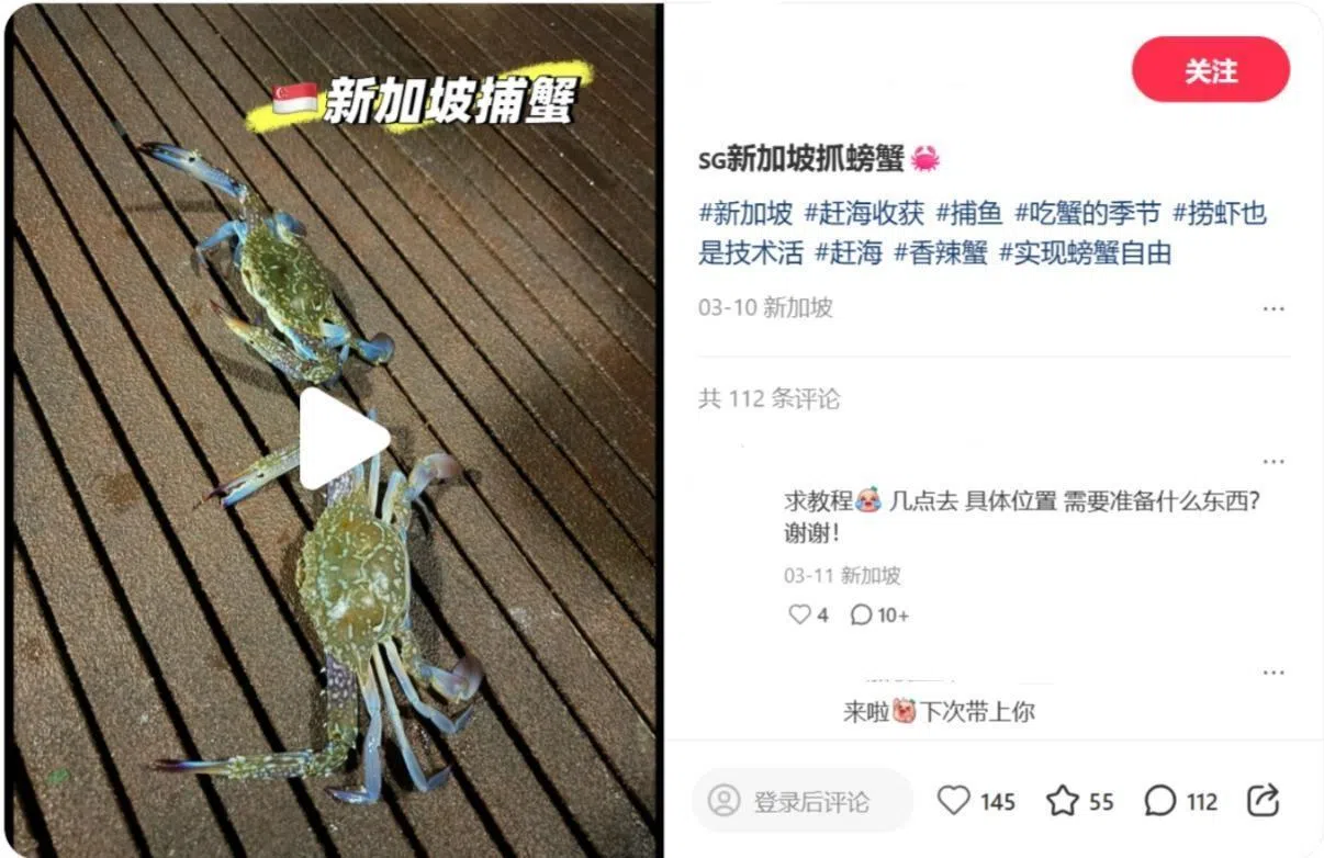 网民分享在三巴旺码头的赶海收获和捕蟹技巧，更多人跃跃欲试。（网络截图）