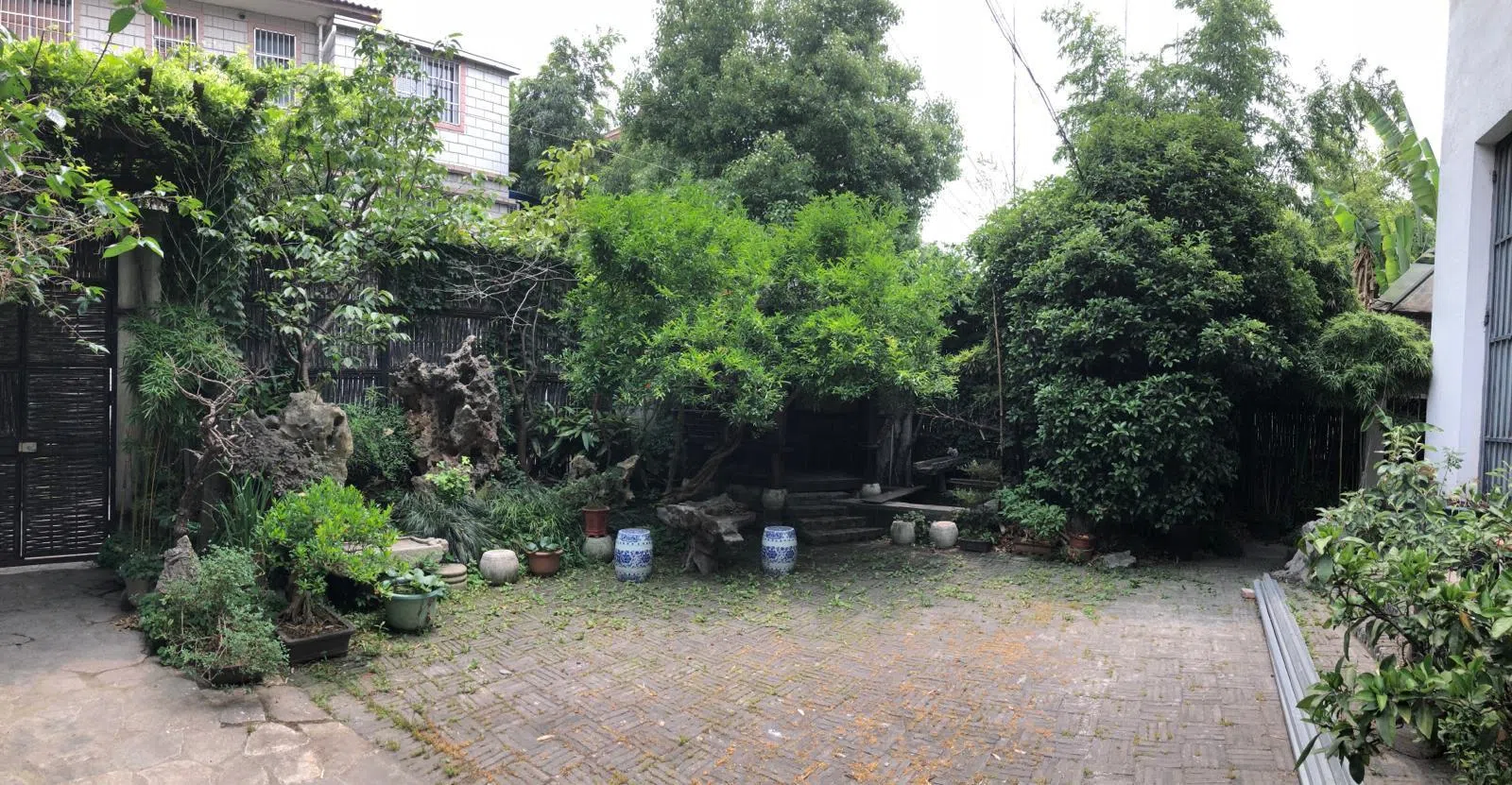 陈心懋在上海青浦的住家兼工作室的户外园子。（受访者提供）