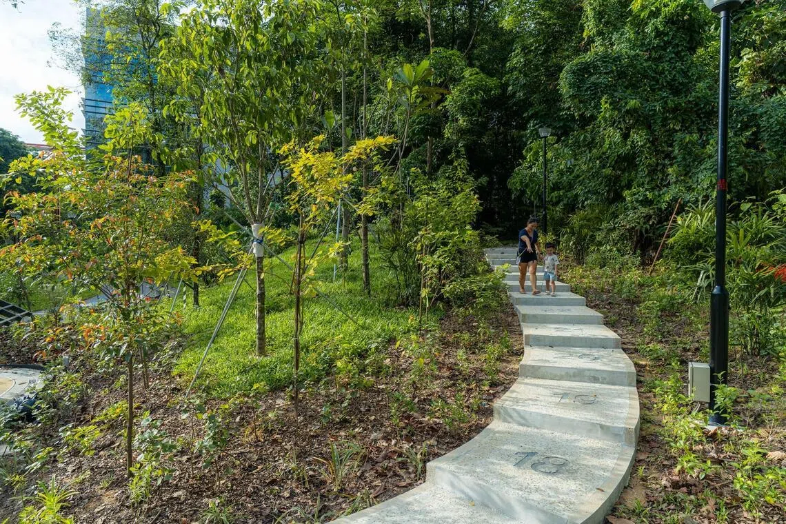 林野径（Backwoods Trail）就设在榜鹅历史走道（Punggol Heritage Trail）长约400米的第一段步道上。（取自国家公园局脸书）