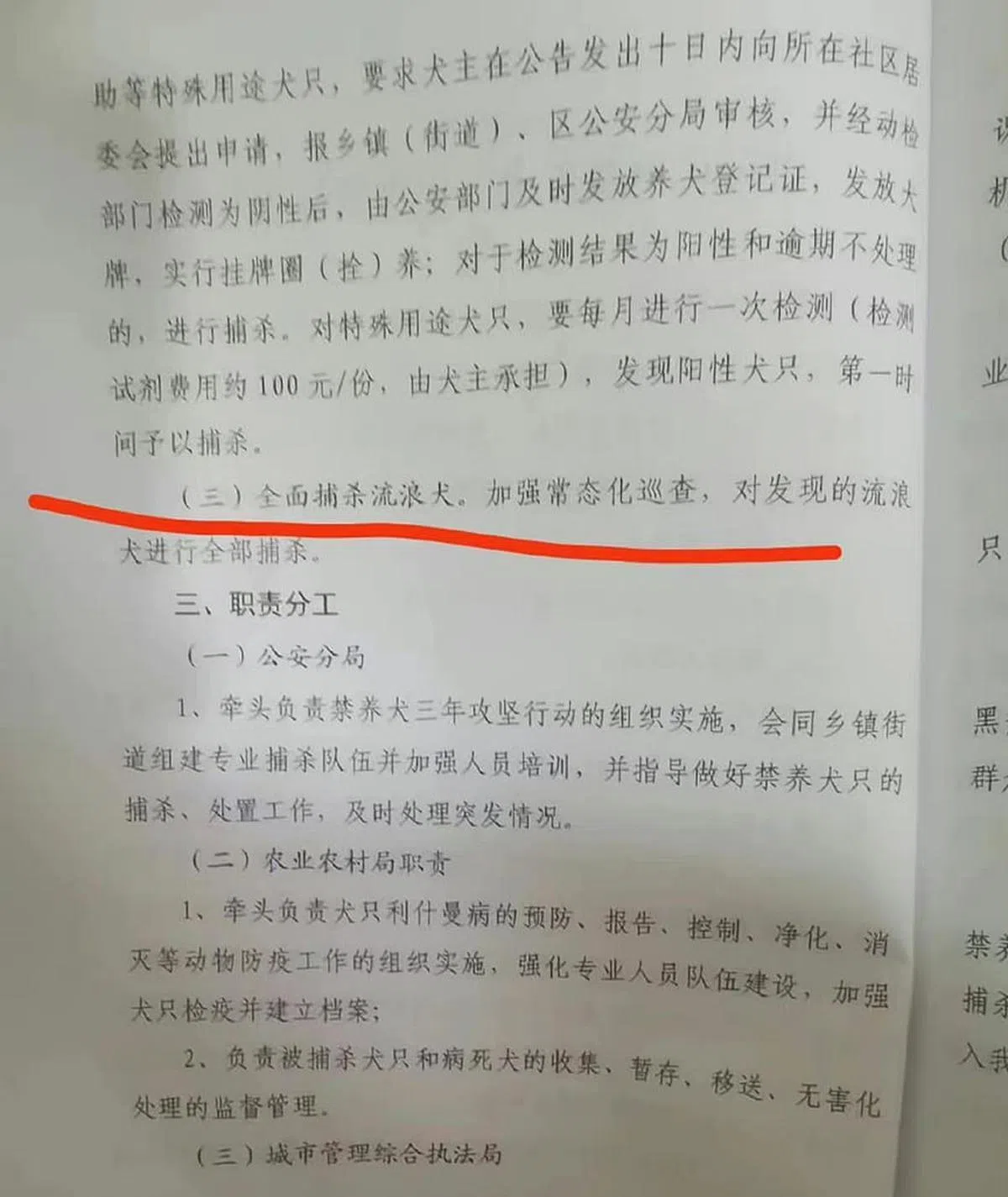 网上流传的政策文件显示，当局要求全面捕杀流浪狗。（微博）