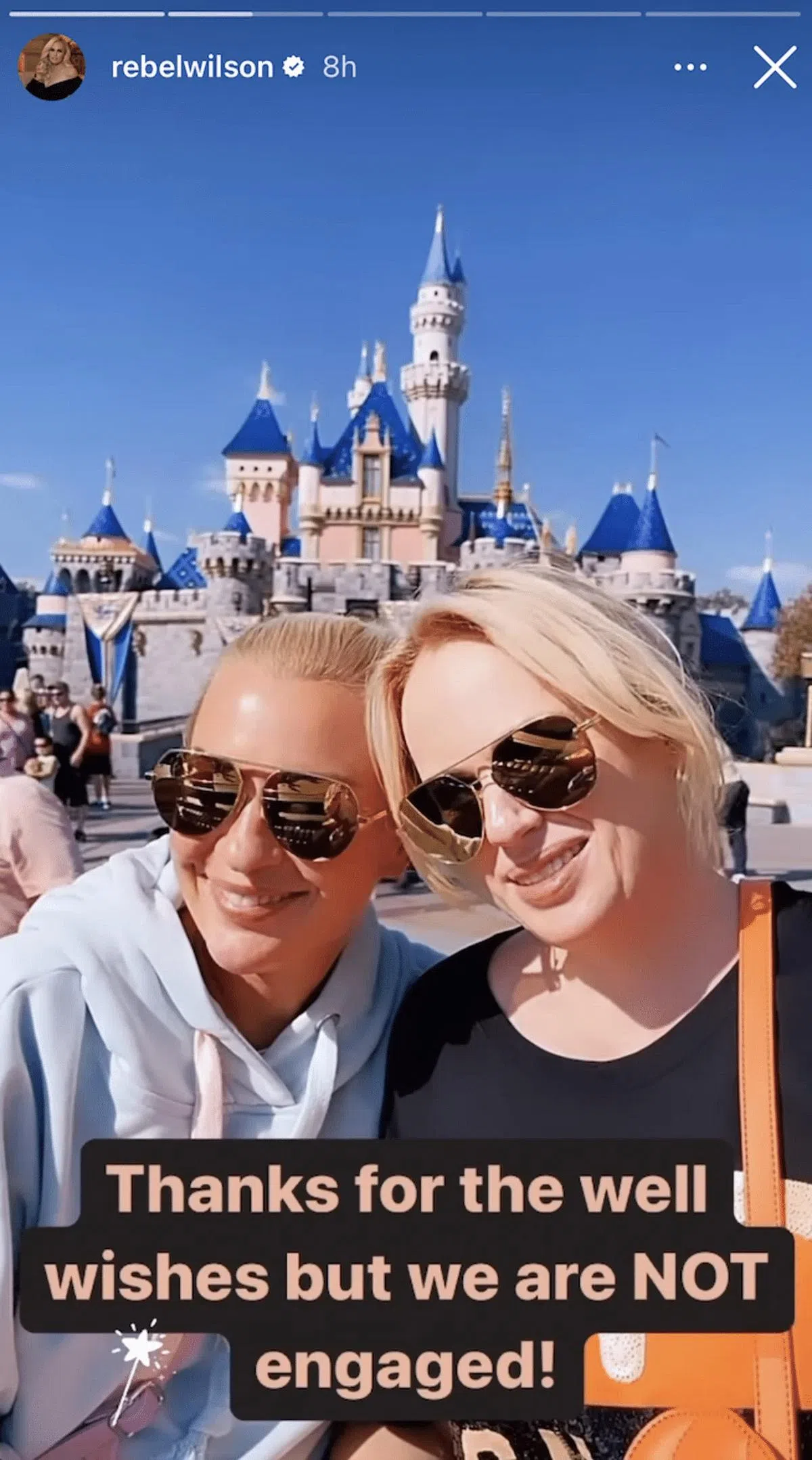 Rebel Wilson澄清并未订婚。（Rebel Wilson IG）