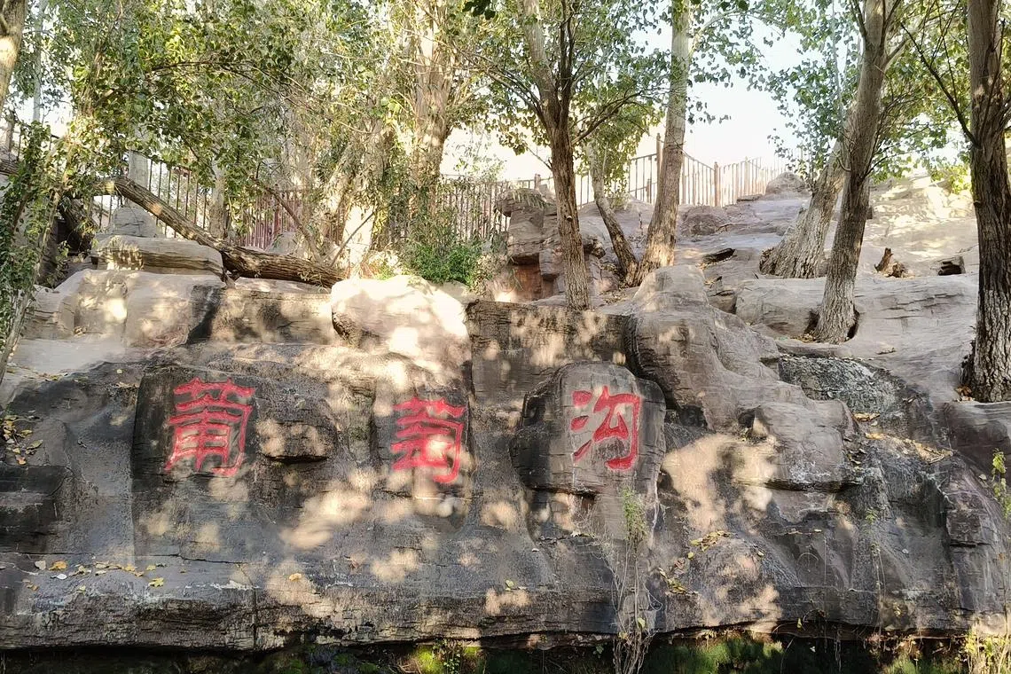 葡萄沟是吐鲁番的著名景点。（作者提供）