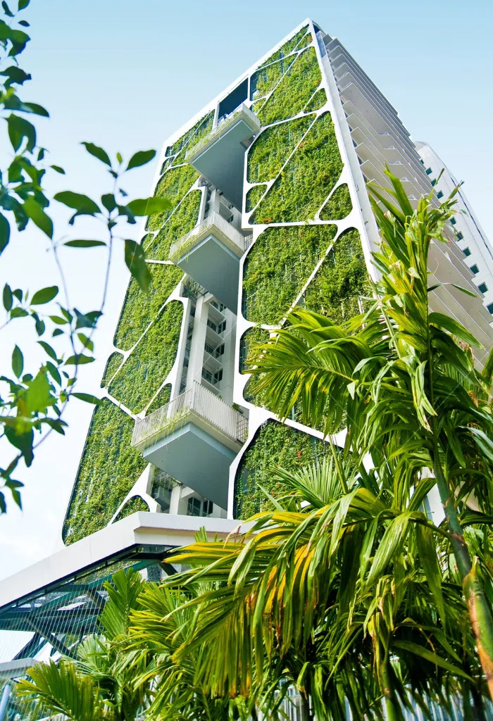 城市发展旗下的Tree House公寓采用由本地树种与植物组成的垂直绿化墙，不仅有助维护生物多样性，也能为建筑降温。（城市发展提供）