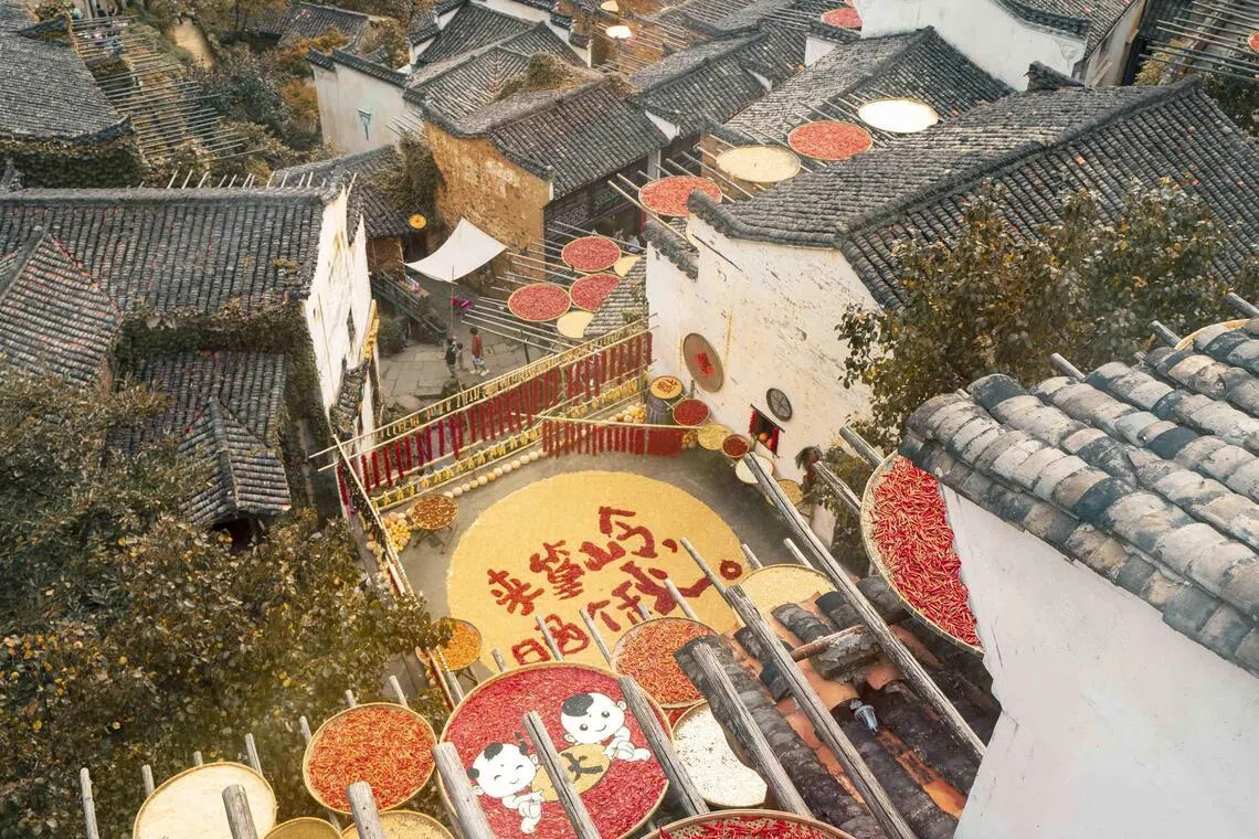 婺源篁岭屋顶的晒秋景观。（婺源篁岭官网）