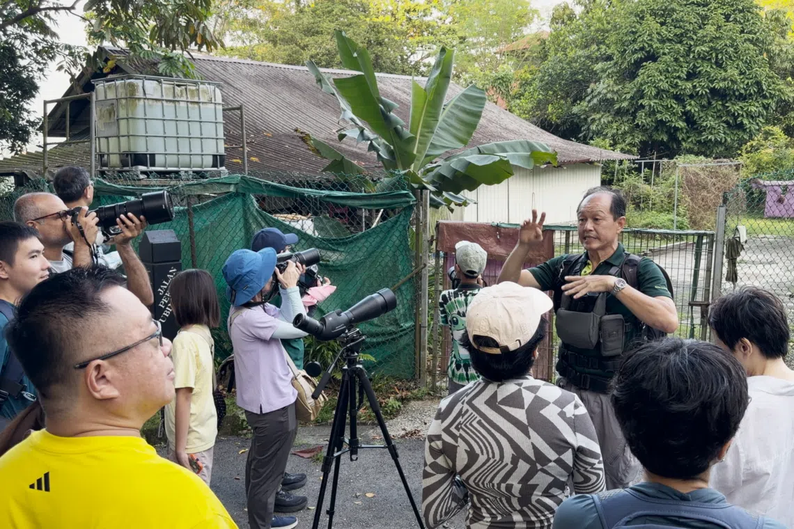 新加坡自然协会飞禽组副主席叶伟任（右二）希望有更多公众能参与组织的观鸟活动，从中培养自然意识。（视频截图）