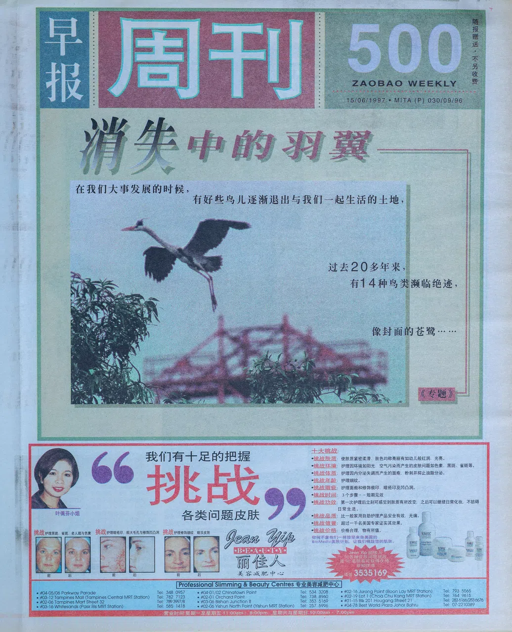 第500期封面《消失中的羽翼》，1997年6月15日出版。（档案照）