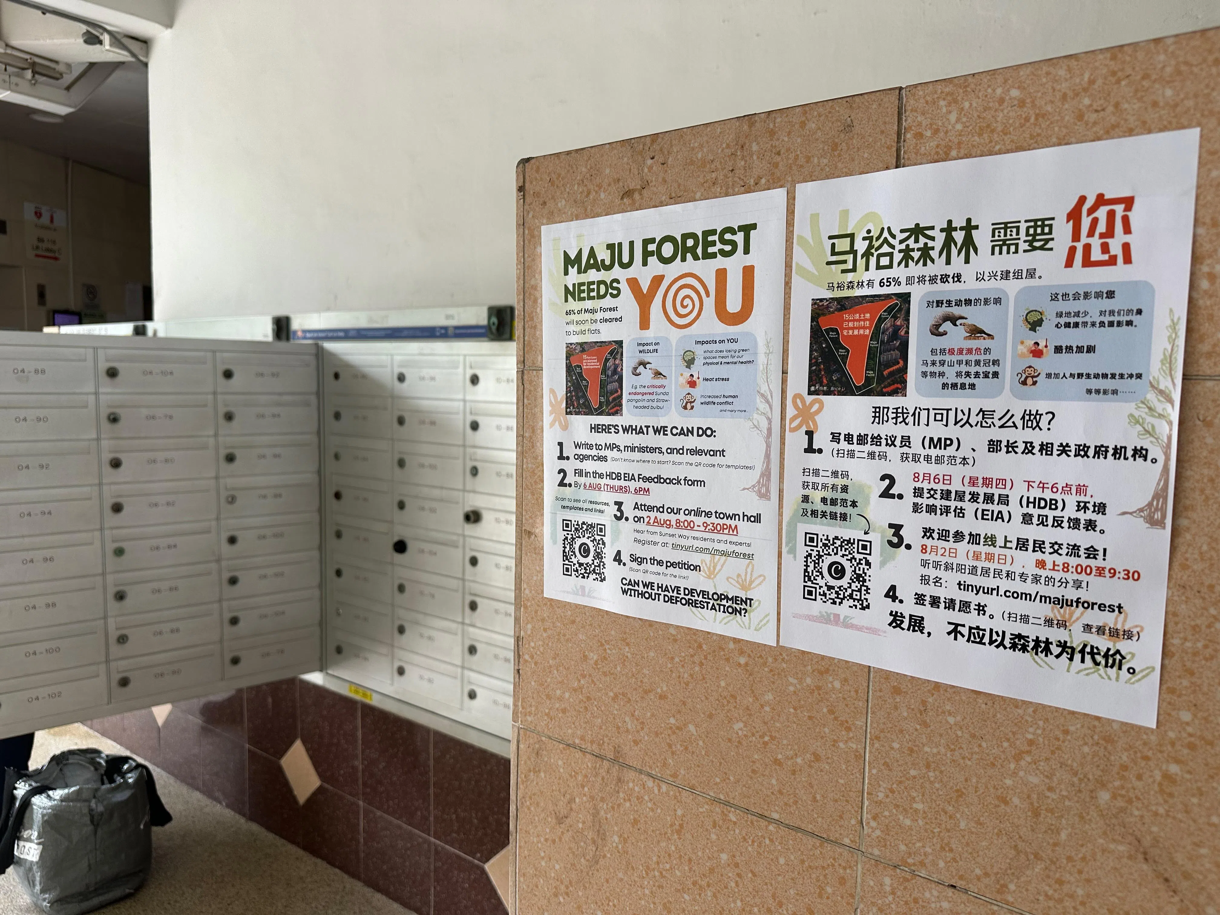 斜阳大道一带的组屋电梯口贴有海报，呼吁居民支持保留马裕树林的网上请愿。（林煇智摄）