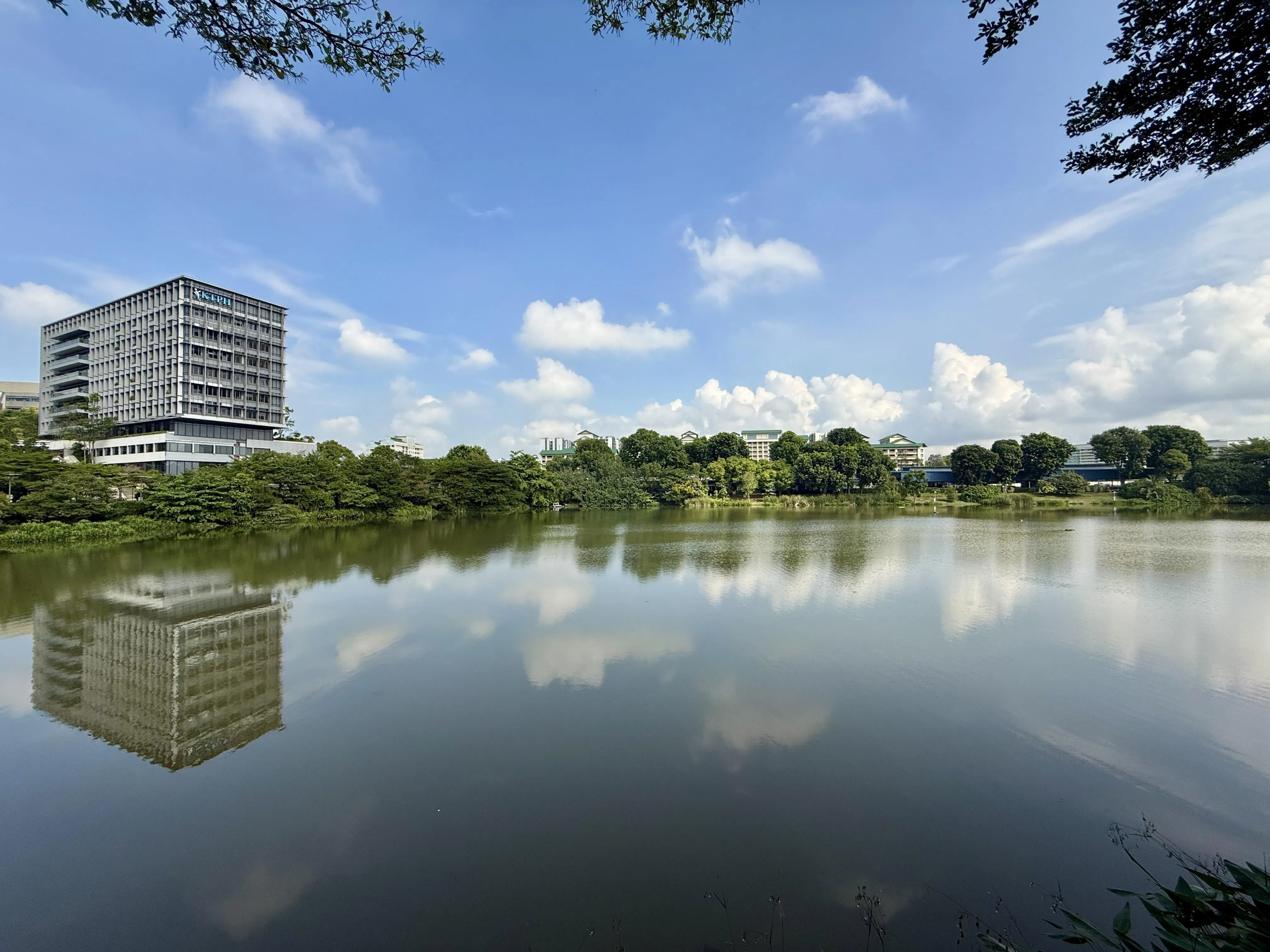 居民用“义顺的香格里拉”形容义顺池塘的景色，反映池塘在街坊心目中的地位。（陈映蓁摄）