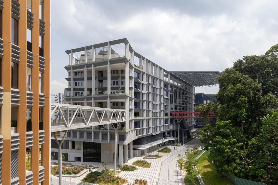 榜鹅数码园区占地50公顷，首个阶段有八栋楼，占地12公顷。（吴先邦摄）