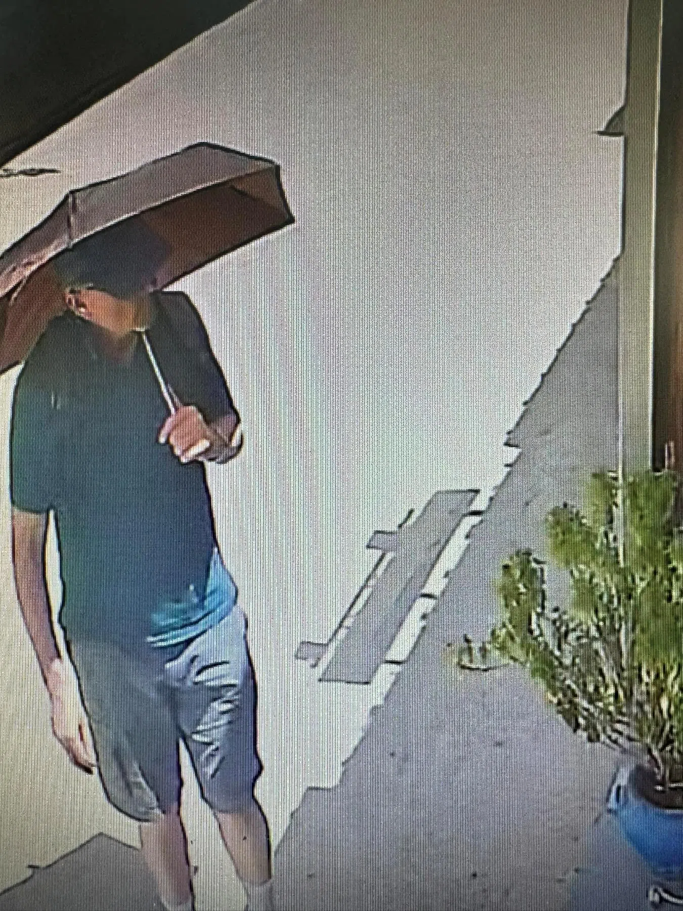 希腊锡米岛街道的闭路电视拍到莫斯利生前拿着雨伞的身影，他后来失去踪影。（路透社）