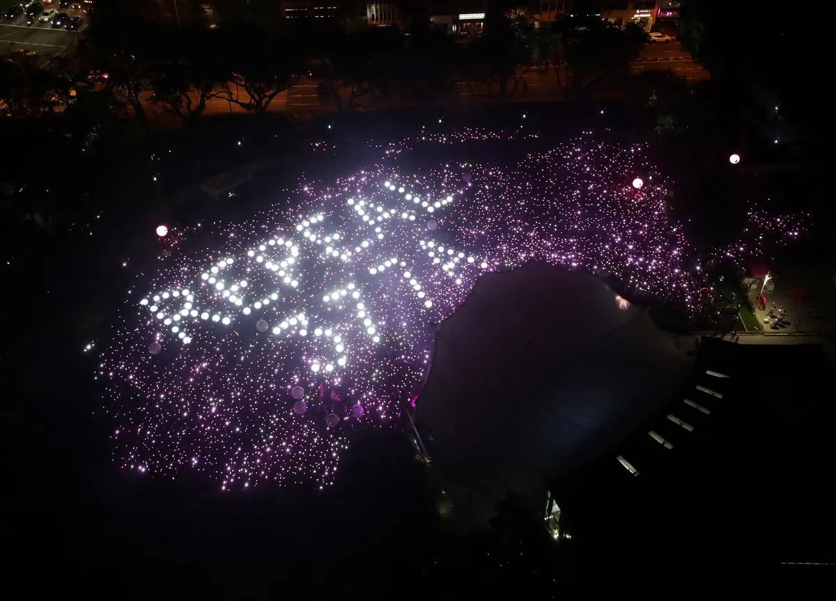2019年6月29日，“粉红点”（Pink Dot）集会在芳林公园举行，当晚的亮灯环节呼吁废除《刑事法典》第377A节条文。（海峡时报） 