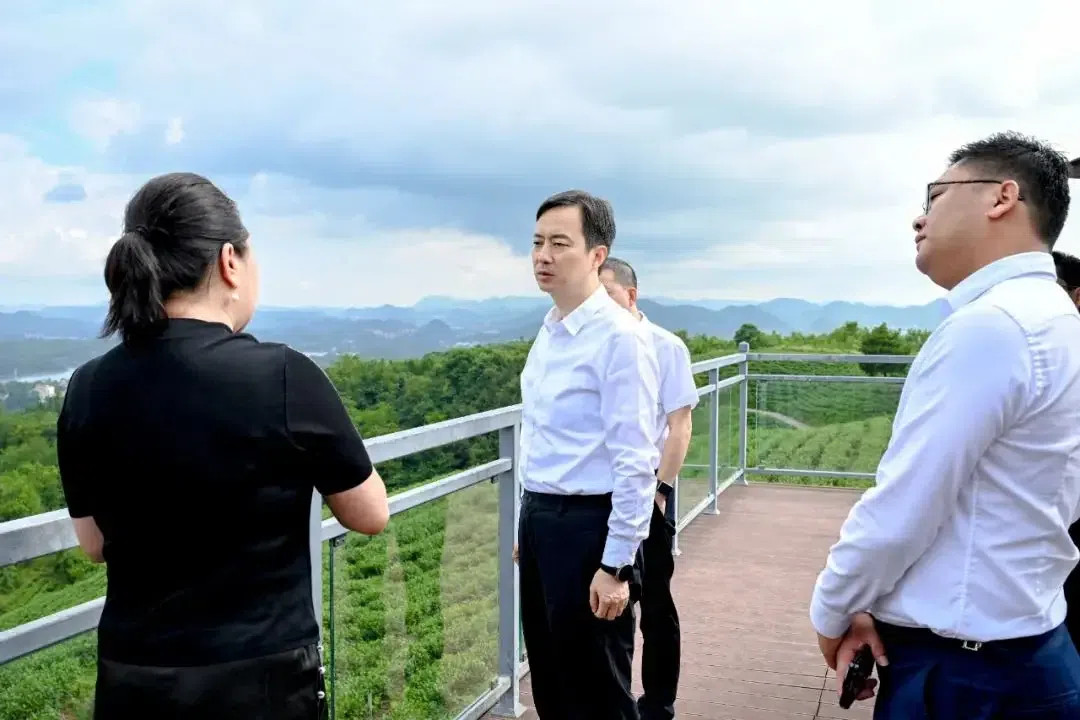 贵阳原市长马宁宇（左二）被查前并无预兆，落马当天名字仍登上《贵阳日报》，显示他前一天赴贵阳市观山湖区调研。（互联网）