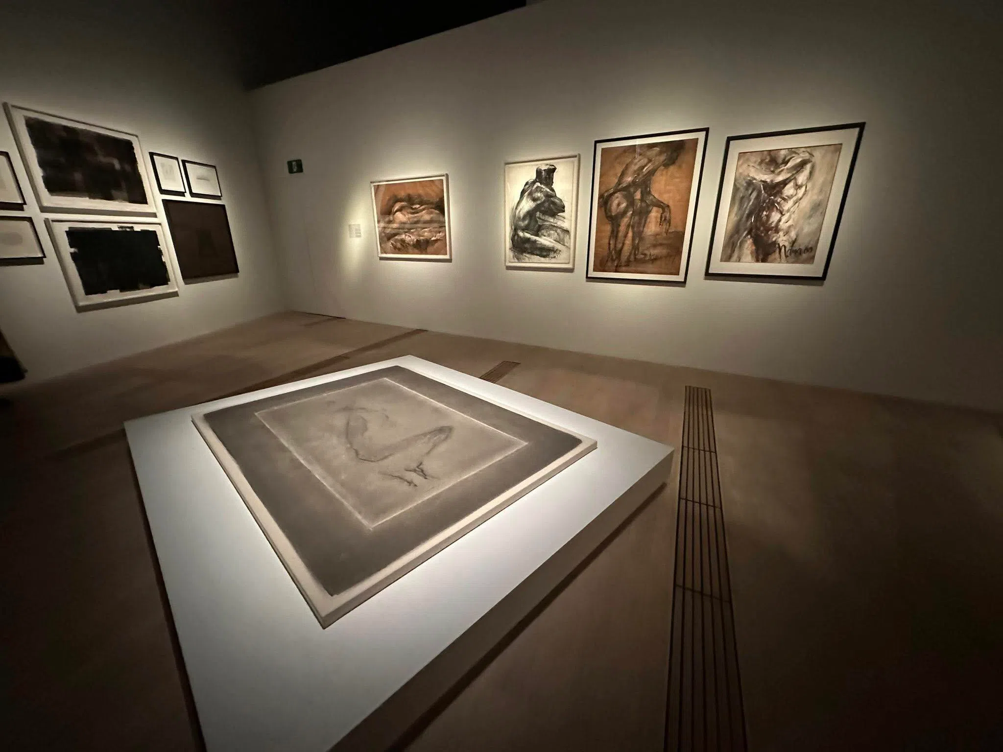 “描绘身体”展厅展出泰国艺术家皮娜丽·桑皮塔克（左）、新加坡人体素描艺术家索拉玛莱·纳马西瓦亚姆（右）、美籍华裔艺术家Ren Light Pan（前）的作品。（黄向京摄）