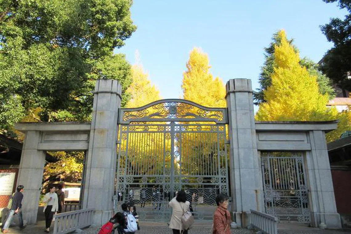 日本顶尖的东京大学所在地文京区房价一直出现涨势，这与中国人热衷教育有关。（互联网）