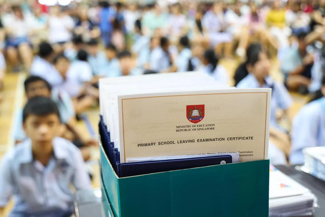 新加坡管理大学幸福老龄化研究中心主任郑宝莲教授建议，检视小六会考制度，缩小不同教育路径与职业之间的薪资与社会地位落差，避免家长继续陷入学业“军备竞赛”。（林明顺摄）