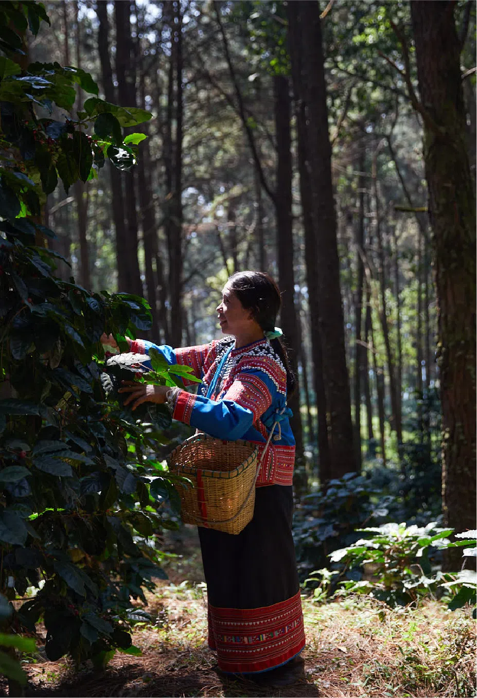 “董山”透过种植农作业与纺织手工业等，为泰北清莱府内的玛法鲁昂和玛塞山区1万1000名少数民族创造就业机会。（Onitsuka Tiger提供）