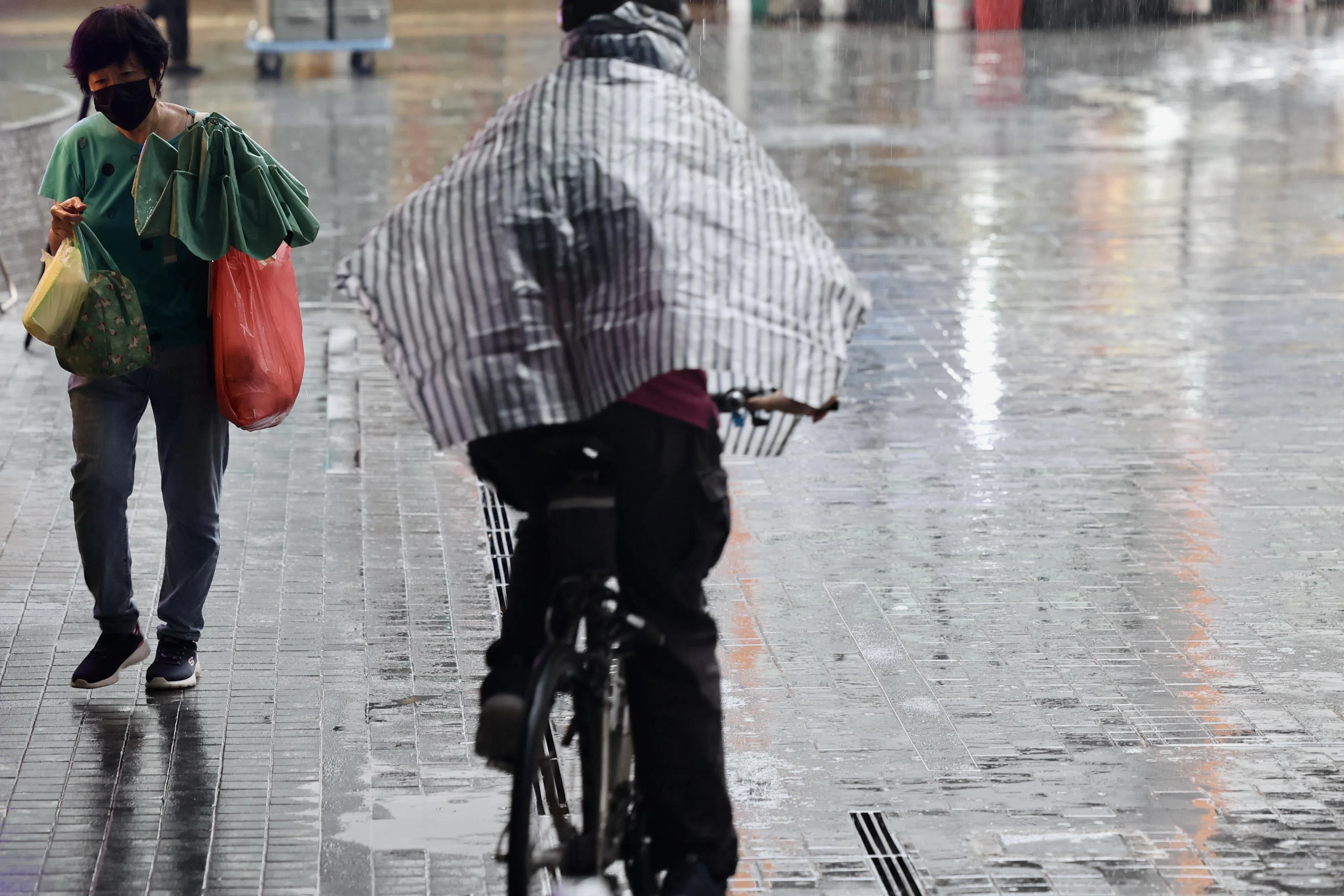 新加坡的雨季和旱季将变得更极端，旱季的降雨量会进一步减少，雨季的降雨量则会加剧。（陈斌勤摄）