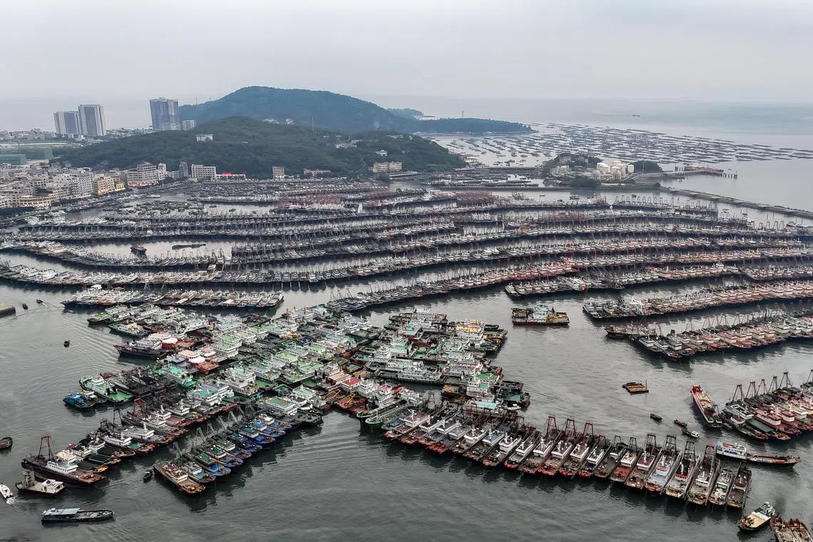 广东阳江海陵岛渔船星期三停靠在闸坡国家级中心渔港内避风。 （中新社）