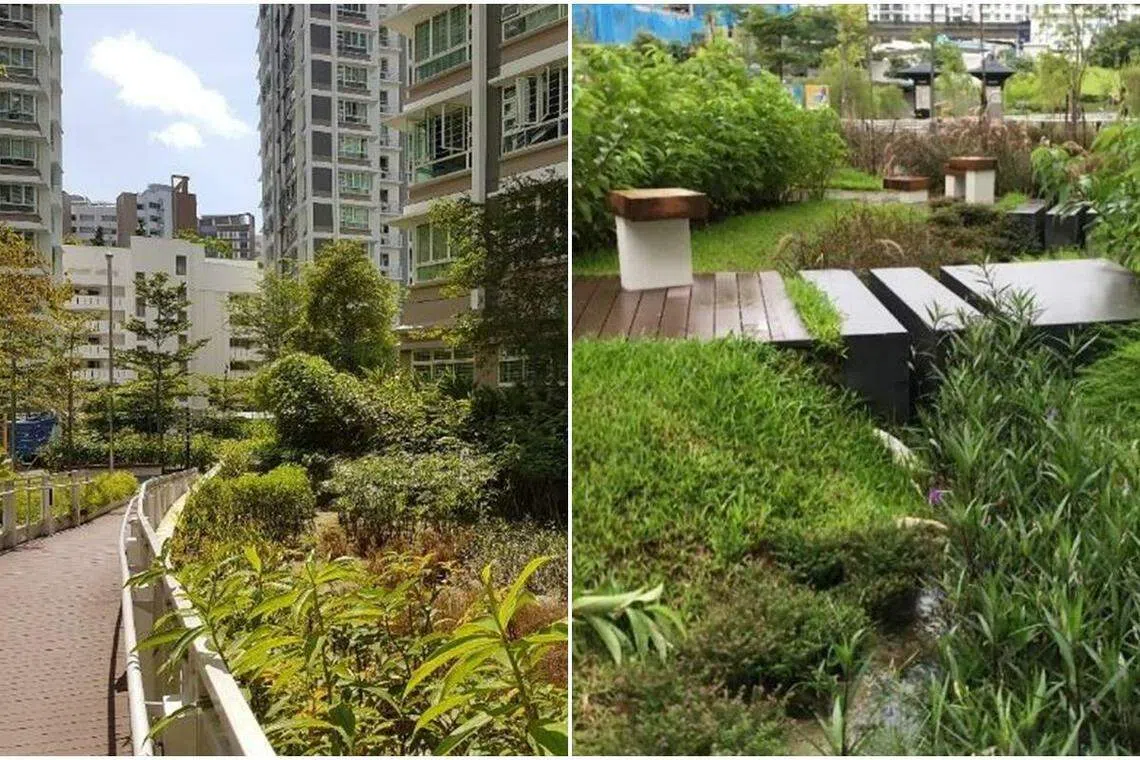 雨水花园（左）和植被洼地有助控制雨水，让环境变得更宜居。（建屋发展局提供）