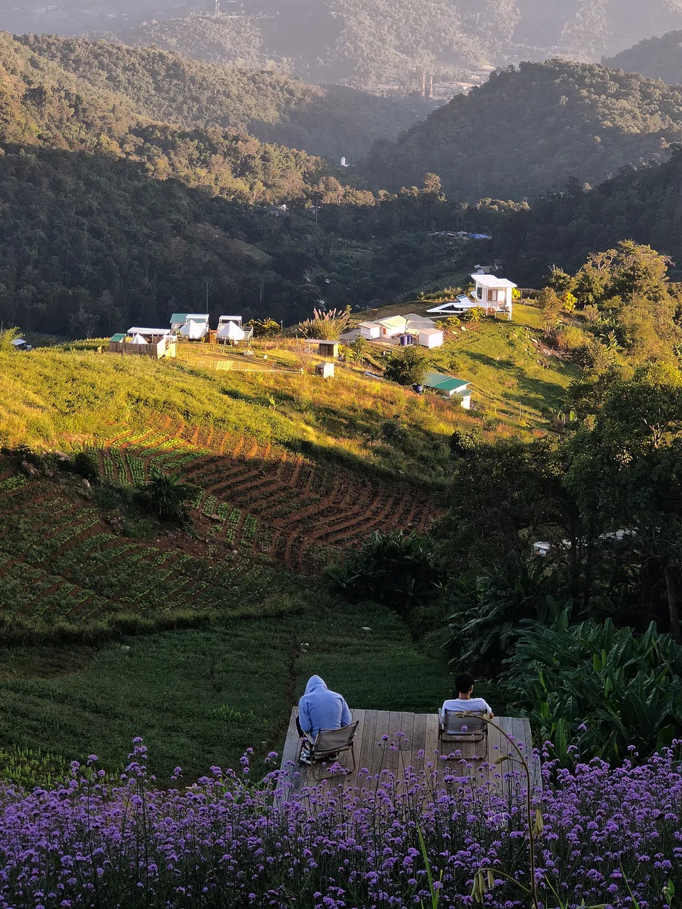 在没有天花板的地方享受自然。（陈默汎摄）