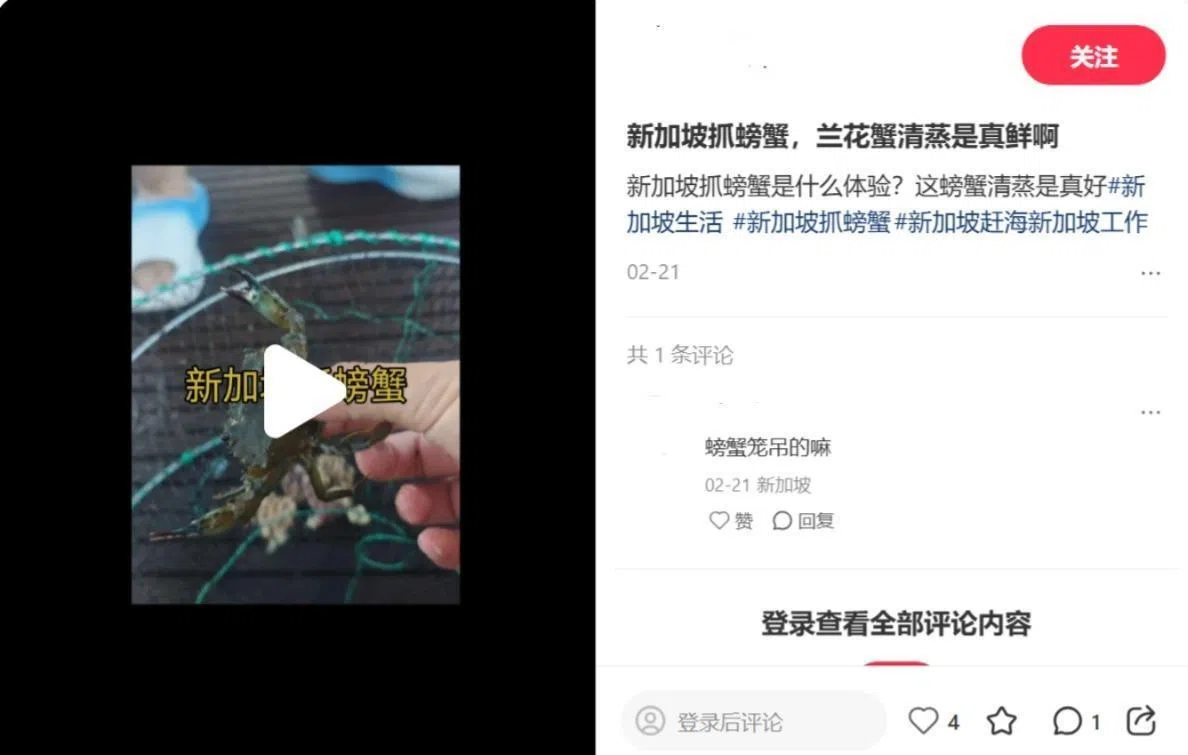 在小红书和抖音等社交平台上，可以看到不少网民上传的视频，分享他们在新加坡抓螃蟹的体验。（网络截图）