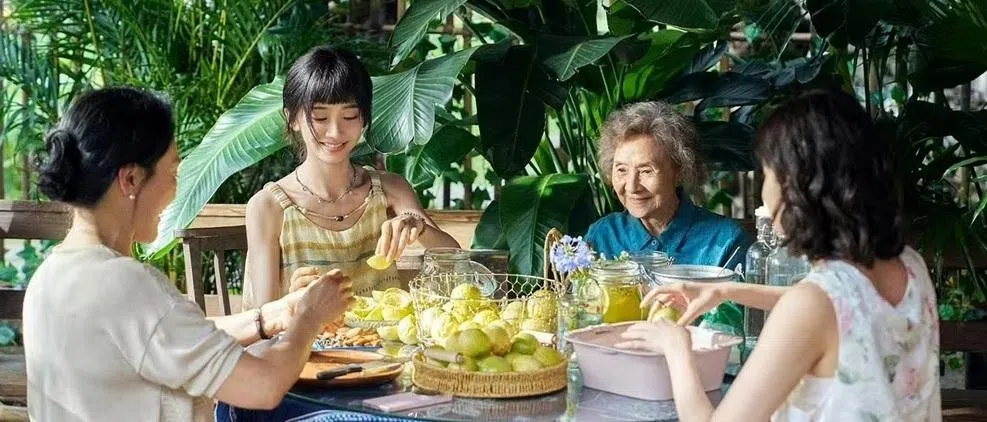 杨小芳（左二）的大姑杨凡雁（王姬饰，左起）、奶奶（吴彦姝饰）和二姑杨凡梅（颖儿饰）都是她的坚实后盾。（互联网）