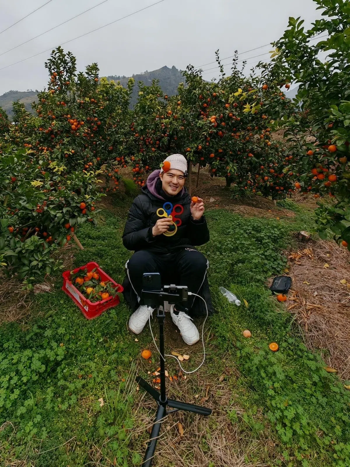 李腾到中国广西做直播卖砂糖橘。（受访者提供）