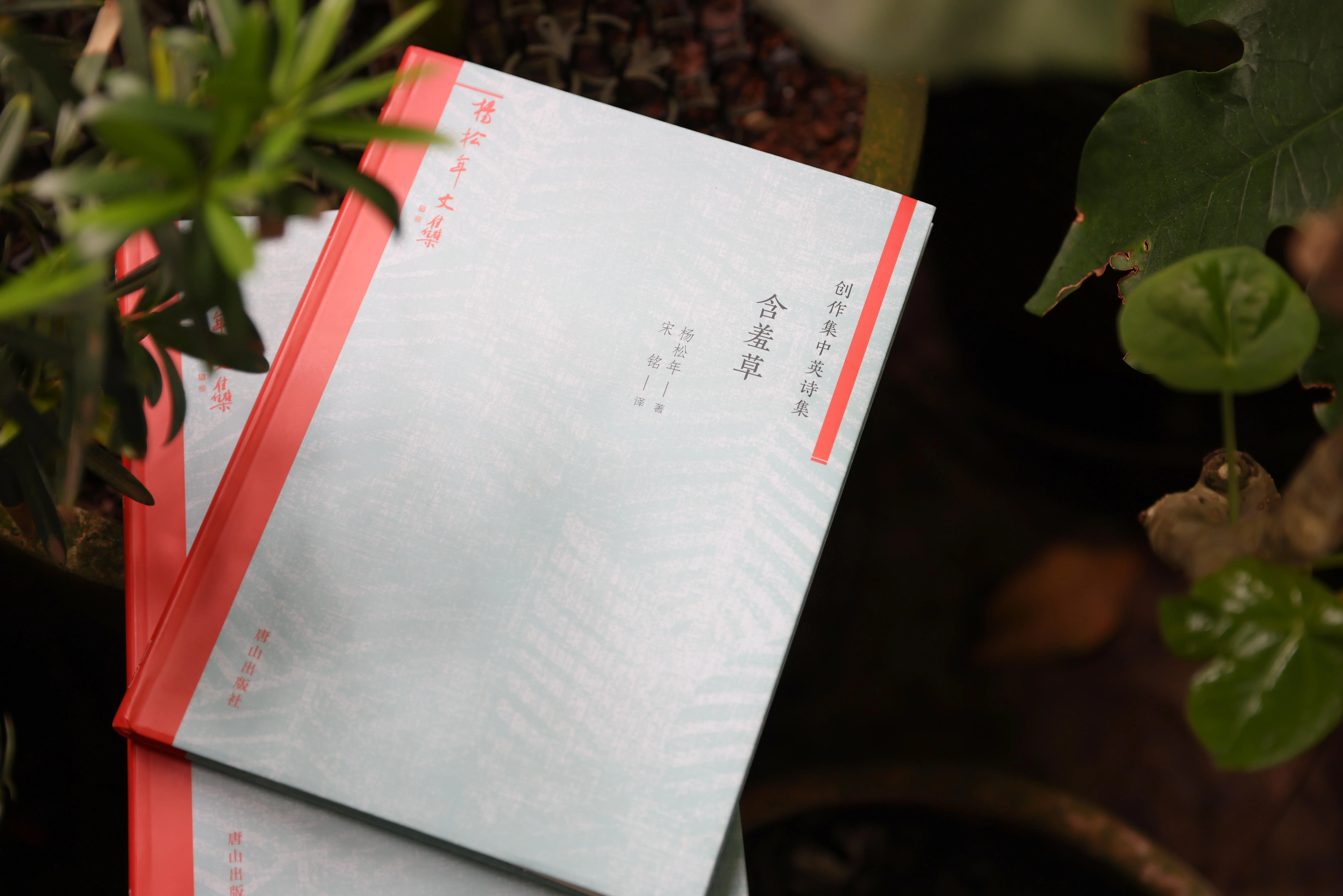 《含羞草》有许多感怀杨松年父亲的短章，由马来西亚诗人宋铭翻译。（白艳琳摄）