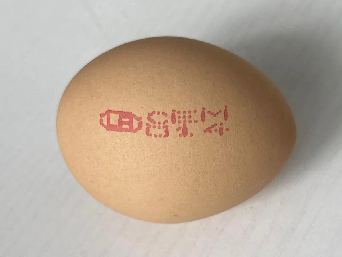 食品局今年展开了三次鸡蛋召回行动，下令九家进口商召回受肠炎沙门氏菌感染的鸡蛋。（档案照片）
