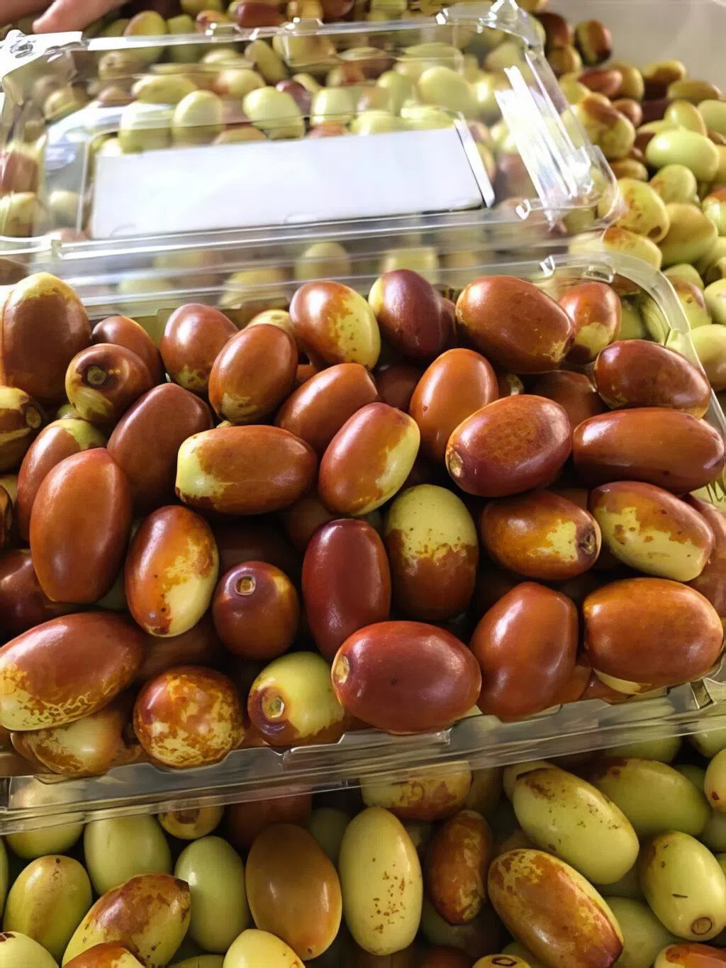 鲜红枣可直接品尝，果肉清脆多汁，口感近似苹果。（台湾农业易游网）