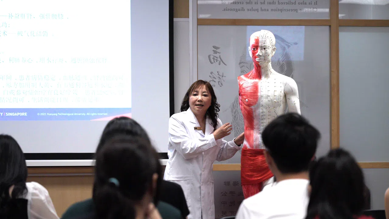 新设的中医双语学士课程专注于中医药以及西医基础的教学，让新一代本地医师更深入地了解新加坡区域性疾病。图为南洋理工大学高级讲师赵雁博士为中医专业学生讲解中医理论知识。（南洋理工大学提供）