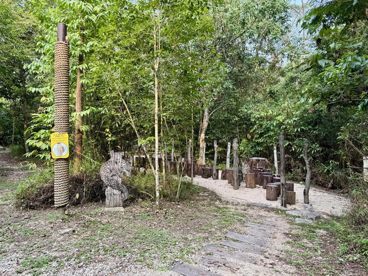 名为Forest Exploration（探索树林）的自然步道上，有适合小朋友攀爬的树桩（Stepping Stumps）。（陈映蓁摄）