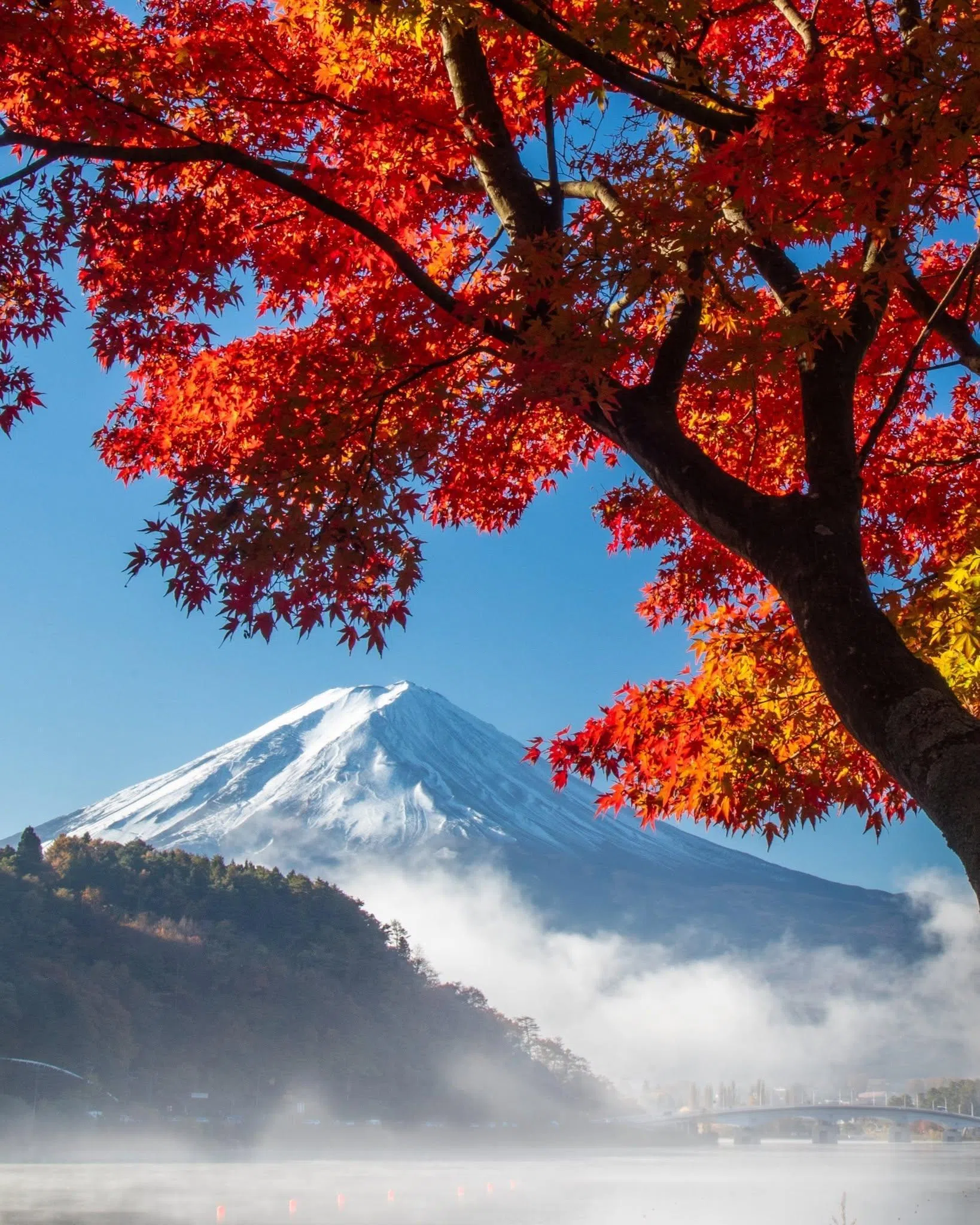 若想拍出富士山与红叶同框的经典画面，河口湖是不少摄影爱好者与打卡游客的热门选择。（取自IG @visitjapansg）