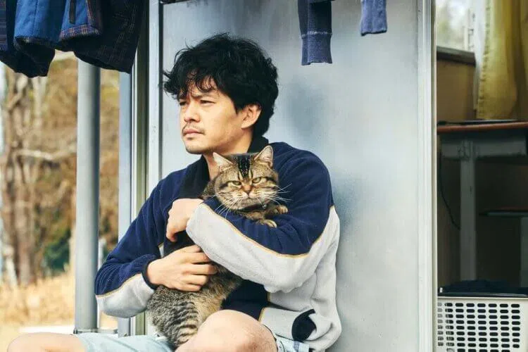 池松壮亮的宠物肥猫“阿虎”是剧中最吸睛的存在。（Disney+提供）