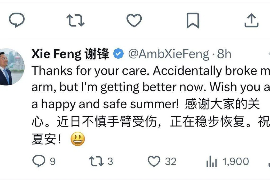 谢锋在社交平台X上感谢外界对他手臂伤势的慰问。（X平台（原称推特））