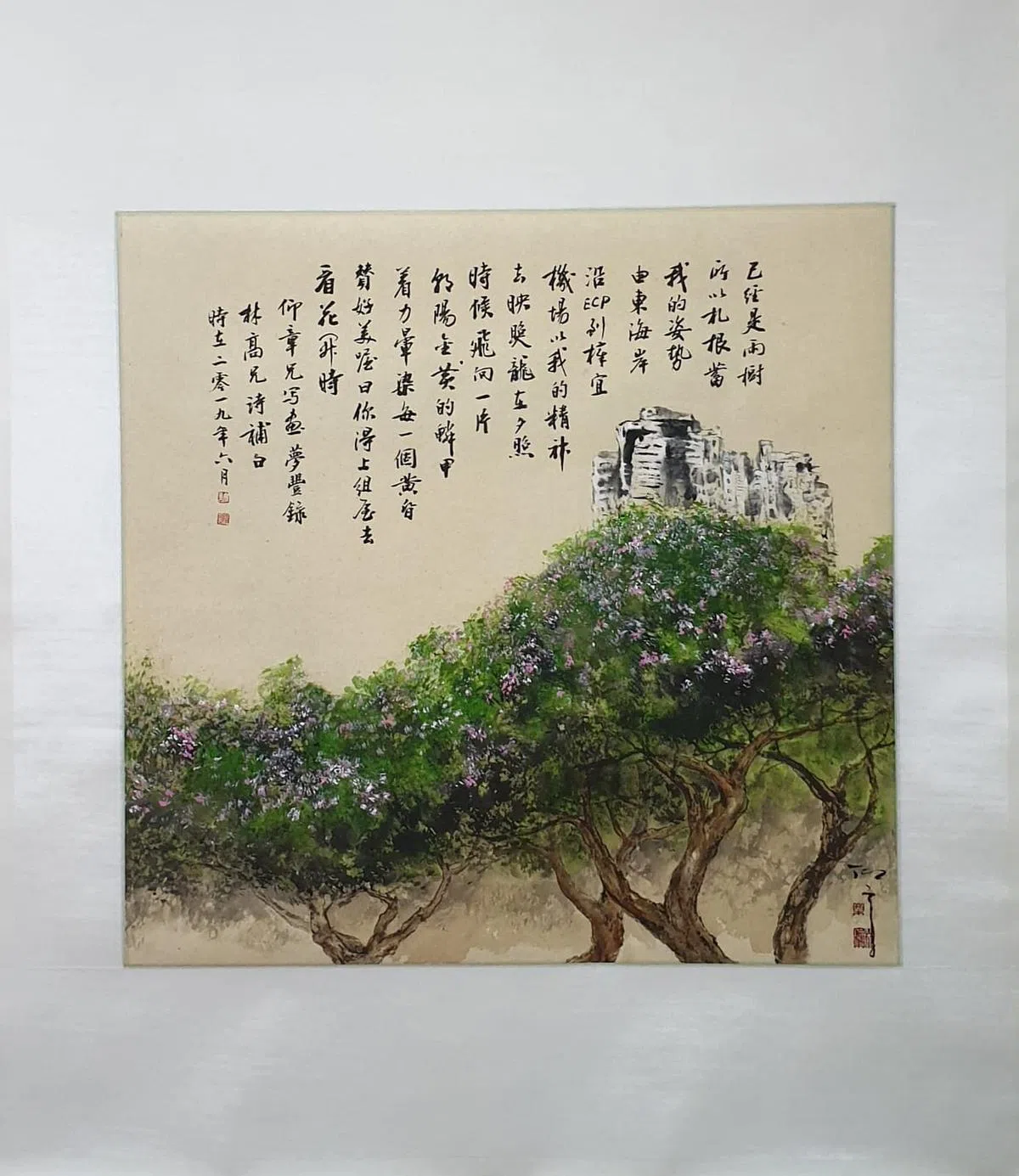雨树
